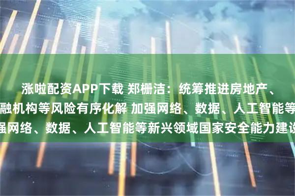 涨啦配资APP下载 郑栅洁:统筹推进房地产、地方政府债务、中小金融机构等风险有序化解 加强网络、数据、人工智能等新兴领域国家安全能力建设