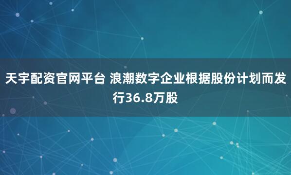 天宇配资官网平台 浪潮数字企业根据股份计划而发行36.8万股